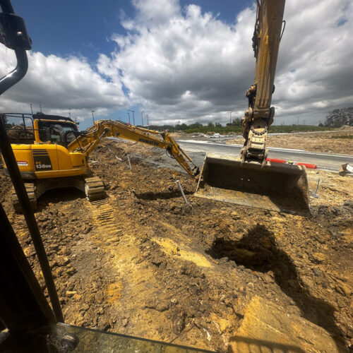 20231116_010128202_iOS